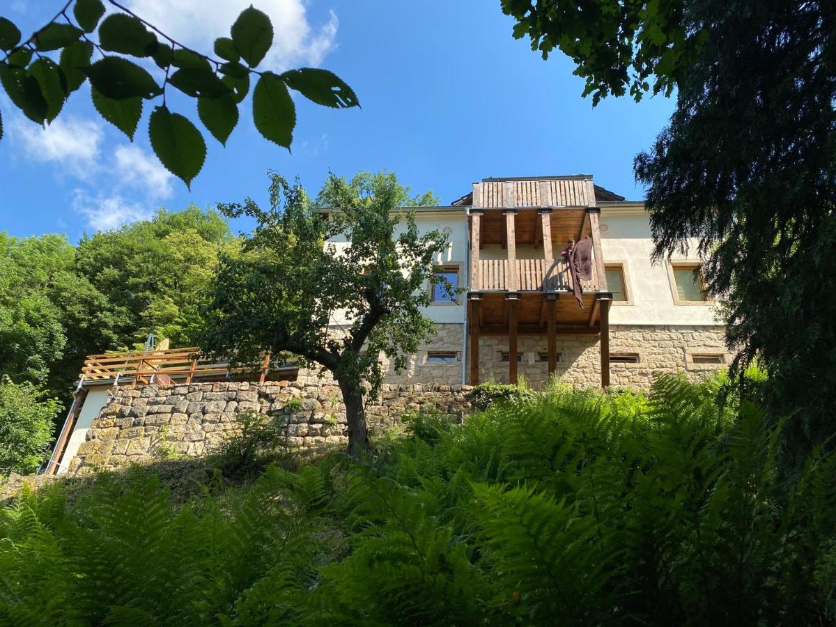 Luxusboofe - Ferienhaus Am Lilienstein Konigstein an der Elbe Bagian luar foto